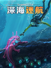 便宜的中老年男装品牌